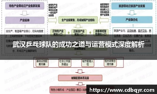 武汉乒乓球队的成功之道与运营模式深度解析